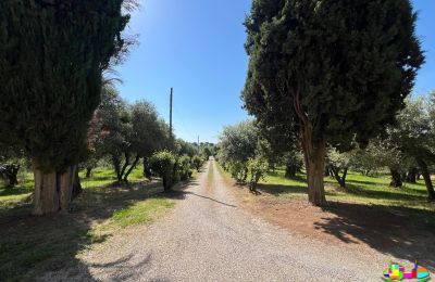 Villa storica in vendita 06061 Castiglione del Lago, localita croce 2, Umbria, Foto 5/38