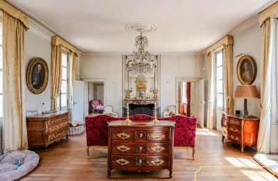 Castello in vendita Chenonceaux, Centro-Valle della Loira, Foto 6/20