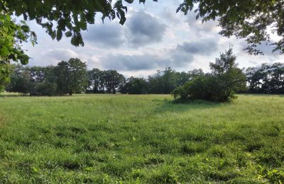 Dimora signorile in vendita Pakosław, Grande Polonia, Foto 13/15