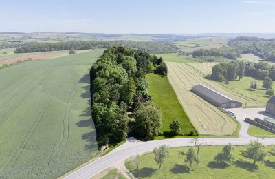 Casale in vendita Manternach, Schorenshaff 2, Canton Grevenmacher, Foto 3/21