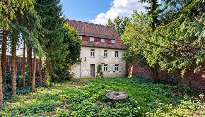 Proprietà storica in vendita 06686 Lützen, Sassonia-Anhalt
