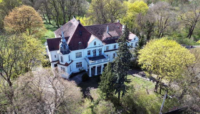 Castello in vendita Uścikowo, Kujavie-Pomerania