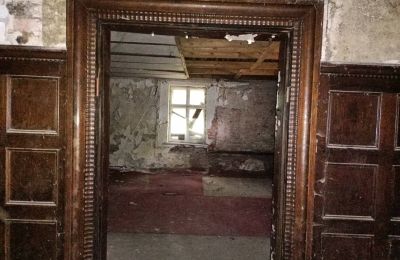Castello in vendita Łęg, Grande Polonia, Foto 12/17