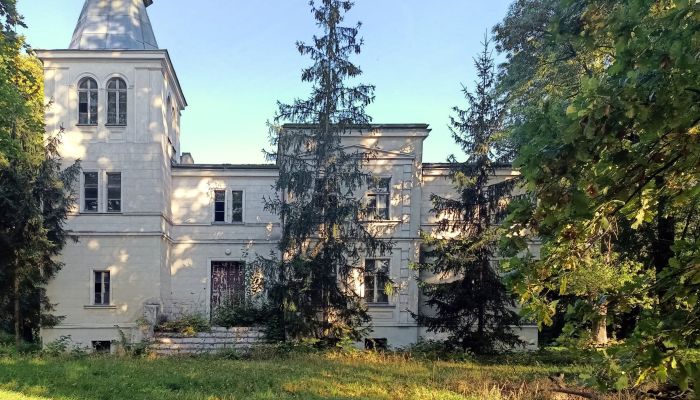 Casa padronale in vendita Goniembice, Wielkopolska,  Polonia