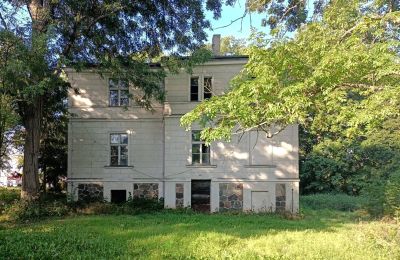 Villa padronale in vendita Goniembice, Dwór w Goniembicach, Grande Polonia, Vista laterale