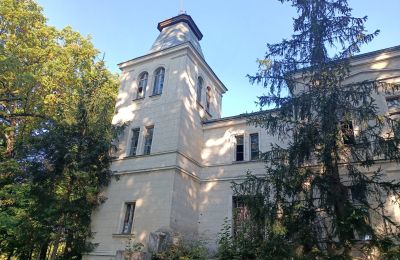 Villa padronale in vendita Goniembice, Dwór w Goniembicach, Grande Polonia, Foto 2/8