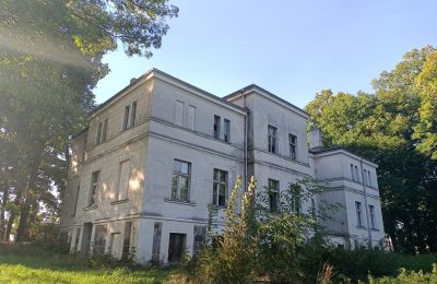 Villa padronale in vendita Goniembice, Dwór w Goniembicach, Grande Polonia, Foto 5/8