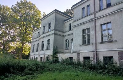 Villa padronale in vendita Goniembice, Dwór w Goniembicach, Grande Polonia, Vista laterale