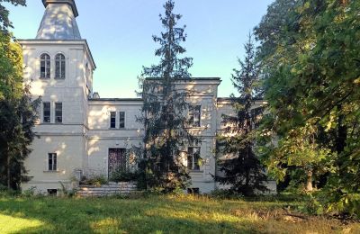 Immobili di carattere, Villa di campagna a Goniembice, Grande Polonia