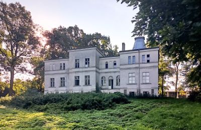 Villa padronale in vendita Goniembice, Dwór w Goniembicach, Grande Polonia, Dwór w Goniembicach 2025