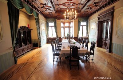 Villa storica in vendita Ústecký kraj:  