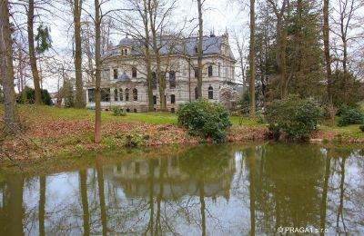 Villa storica in vendita Ústecký kraj:  Giardino