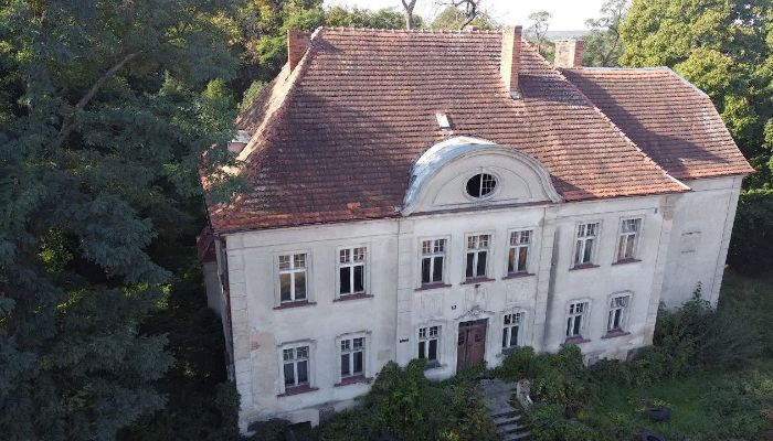Villa padronale Osieczna, Grande Polonia