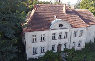 Casa padronale Osieczna, Wielkopolska