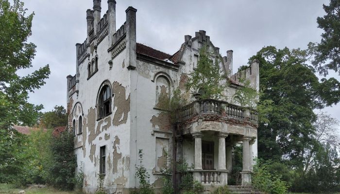 Villa padronale in vendita Brodnica, Grande Polonia,  Polonia