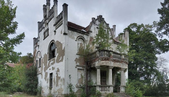 Casa padronale in vendita Brodnica, Wielkopolska,  Polonia