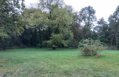 Villa padronale in vendita Brodnica, Grande Polonia, Parco