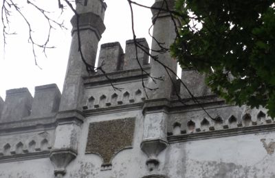 Villa padronale in vendita Brodnica, Grande Polonia, Dettagli