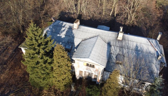 Villa padronale Smaszew, Grande Polonia