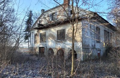 Villa padronale in vendita Smaszew, Dwór w Smaszewie, Grande Polonia, Vista laterale