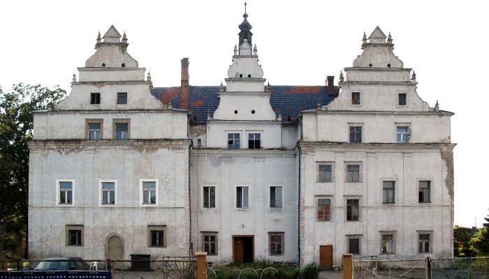 Castello in vendita Wilków Wielki, Bassa Slesia,  Polonia