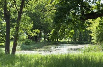 Villa padronale in vendita Gierłachowo, Dwór w Gierłachowie 18a, Grande Polonia, Foto 33/34