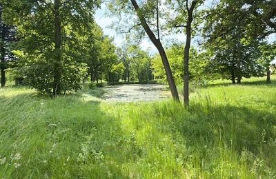 Villa padronale in vendita Gierłachowo, Dwór w Gierłachowie 18a, Grande Polonia, Foto 34/34