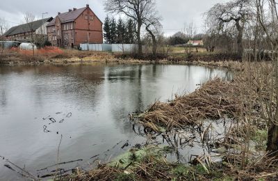 Castello in vendita Bronów, Pałac w Bronowie, Bassa Slesia, Stagno/Lago