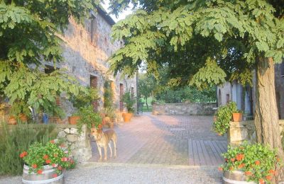 Casa rurale in vendita Arezzo, Toscana:  RIF2262-lang6#RIF 2262 Blick auf den Hof zwischen Haupthaus und Nebengebäude
