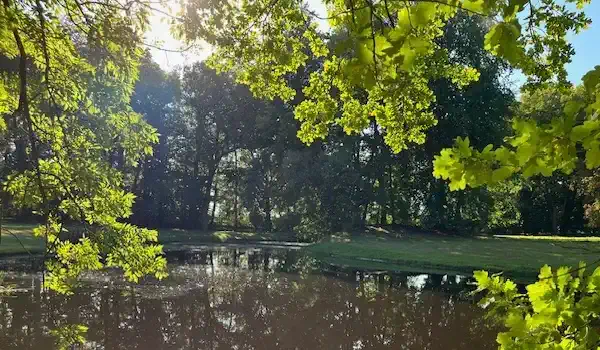 Parco con laghetto, villa padronale Niendorf