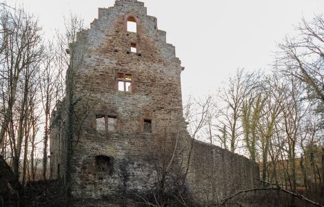 /pp/cc_by_nc_nd/thumb-burg-lehrbach.jpg