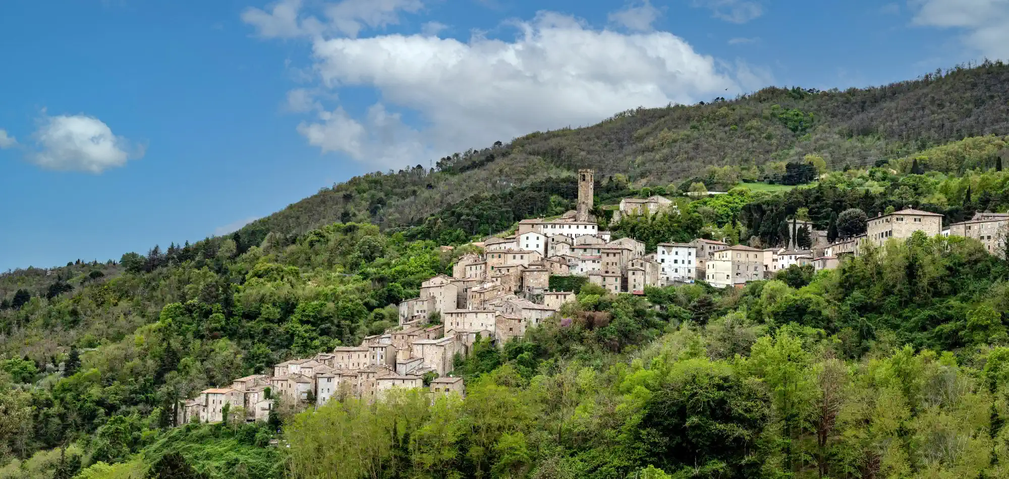Castello in vendita - Castelli Italia maggio 2026