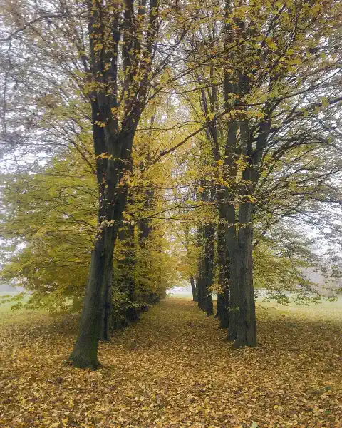 Parco storico Annunci dimore storiche maggio 2026